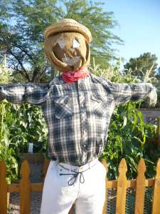 scarecrow in front of community garden