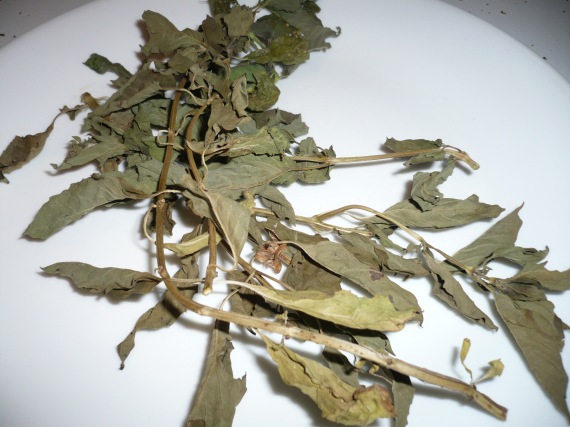Dried basil