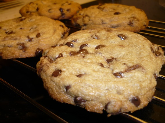 Chocolate chip cookies fresh out of the oven
